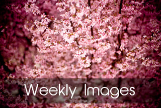 关于17c·moc起草工作的详细介绍与流程解析